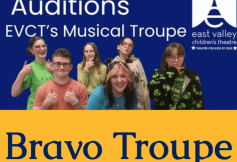 Bravo Troupe