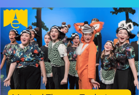 Musical Theatre Techniques